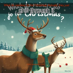 Read more about the article What do reindeer do for Christmas  Actually  they just chill through it