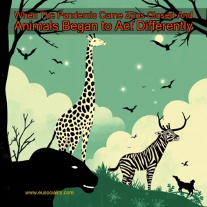 Artistic representation for When The Pandemic Came Zoos Closed And Animals Began to Act Differently