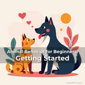 Artistic representation for Animal Behavior for Beginners: Getting Started