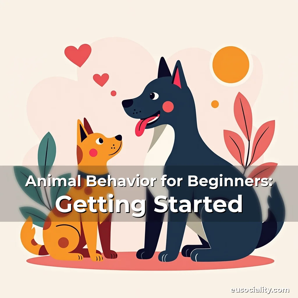 Artistic representation for Animal Behavior for Beginners: Getting Started