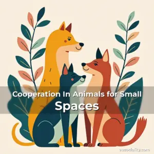 Artistic representation for Cooperation In Animals for Small Spaces